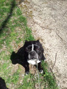 Ever Faithful Brinkley